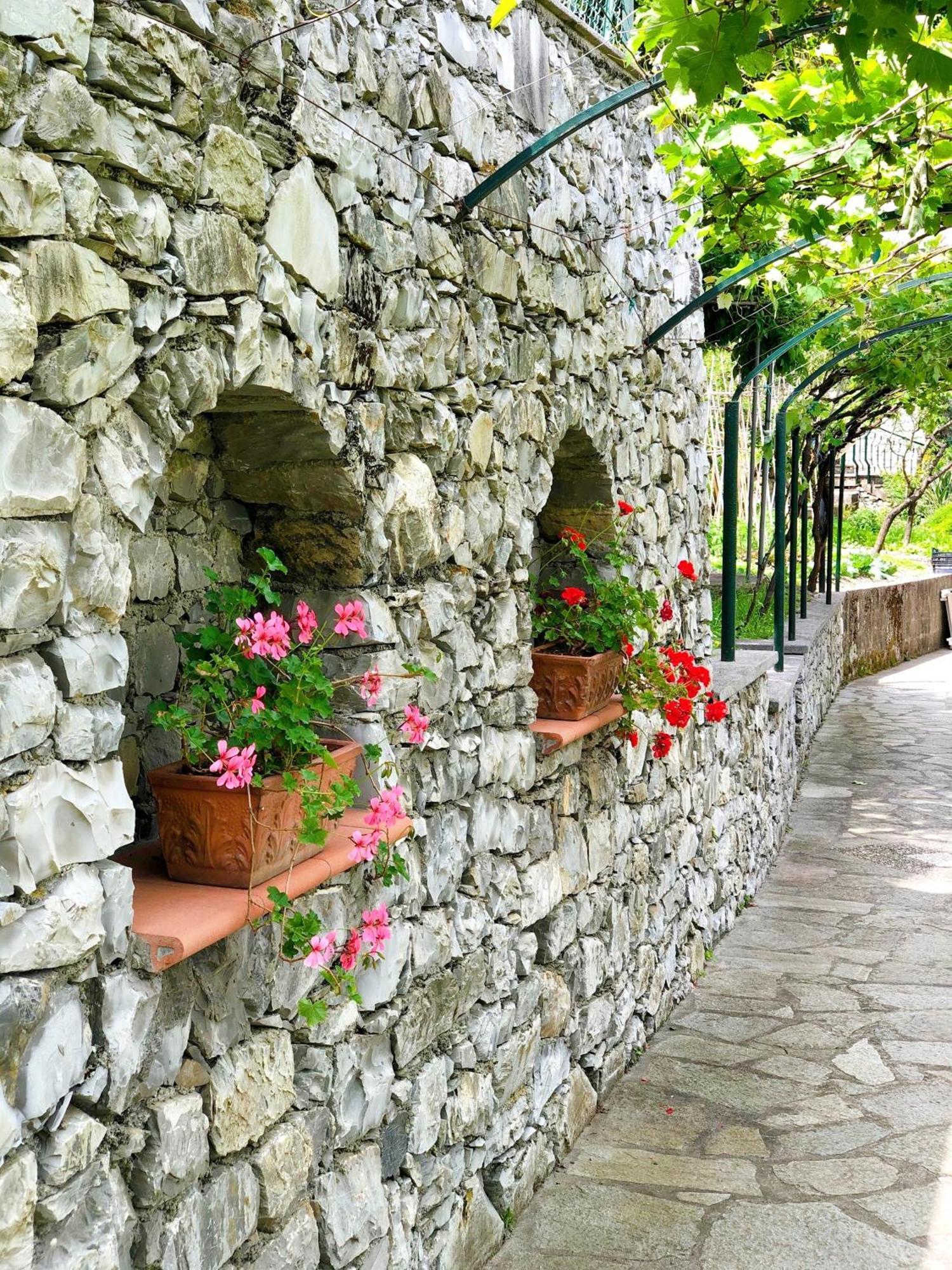 Hotel Villa Edera & La Torretta Moneglia Zewnętrze zdjęcie